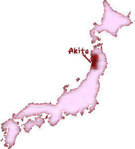 Akita-inu-Du-Temple-de-Ginkaku-ji-Histoire-13